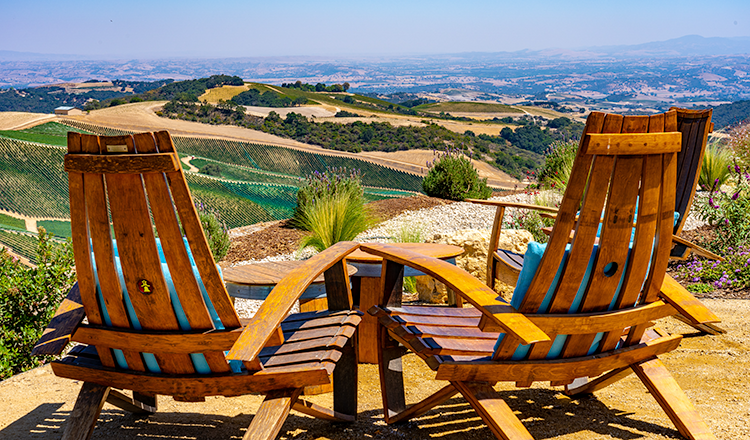 Two chairs overlooking a vineyard view