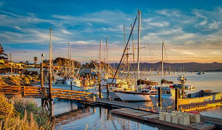 boats in morro bay