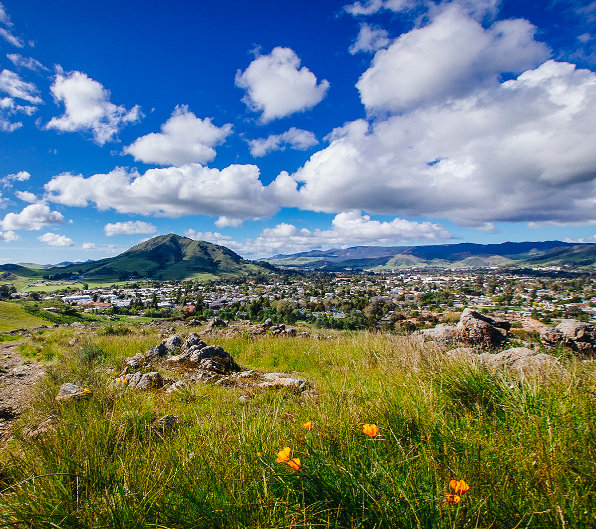 aerial view of slo