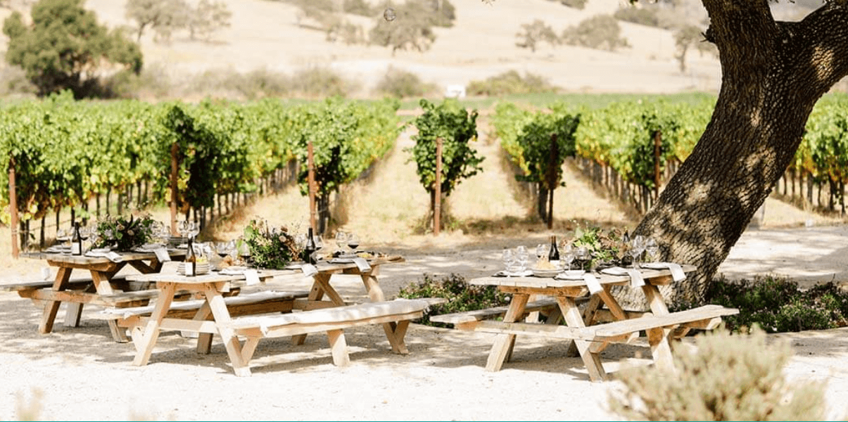 Picnic area in a vineyard
